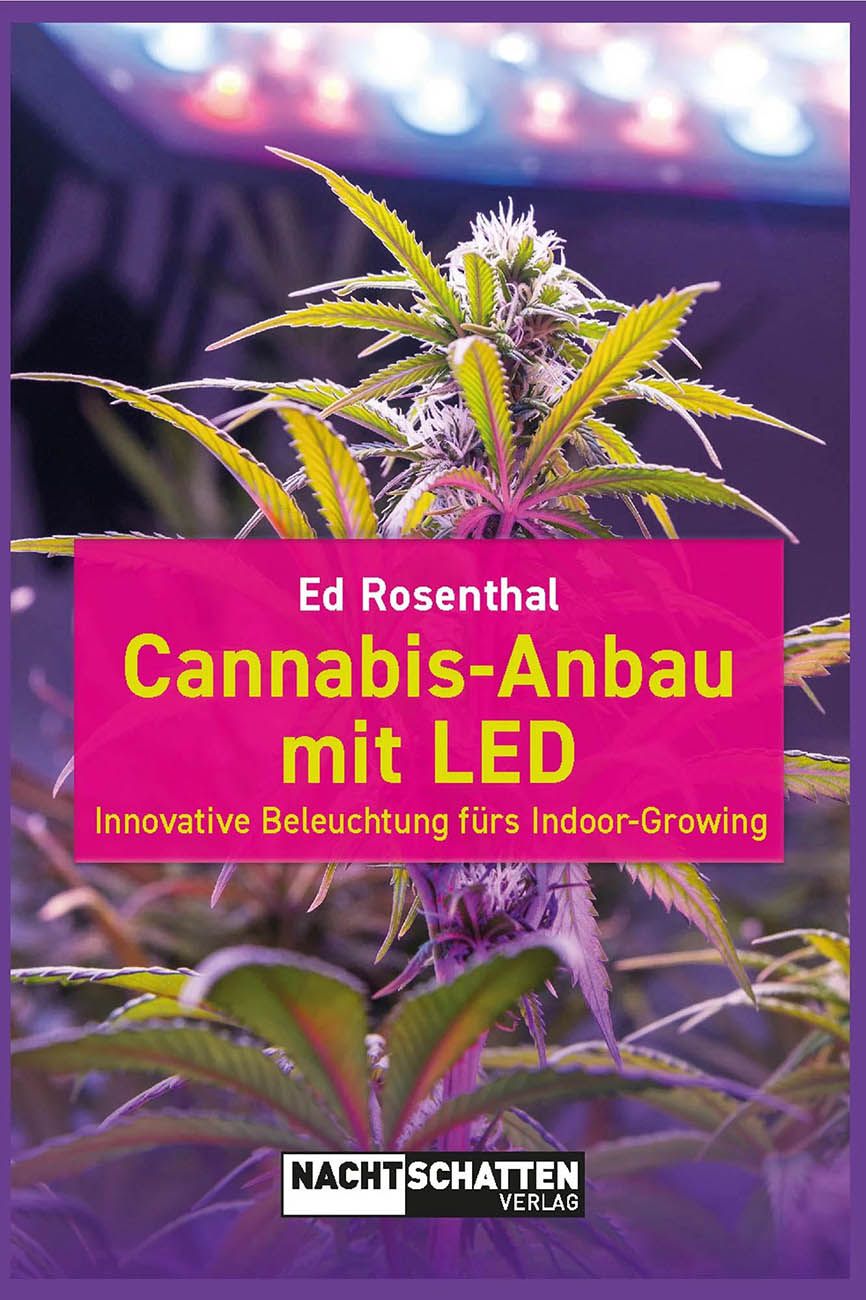 Cannabis-Anbau mit LED …