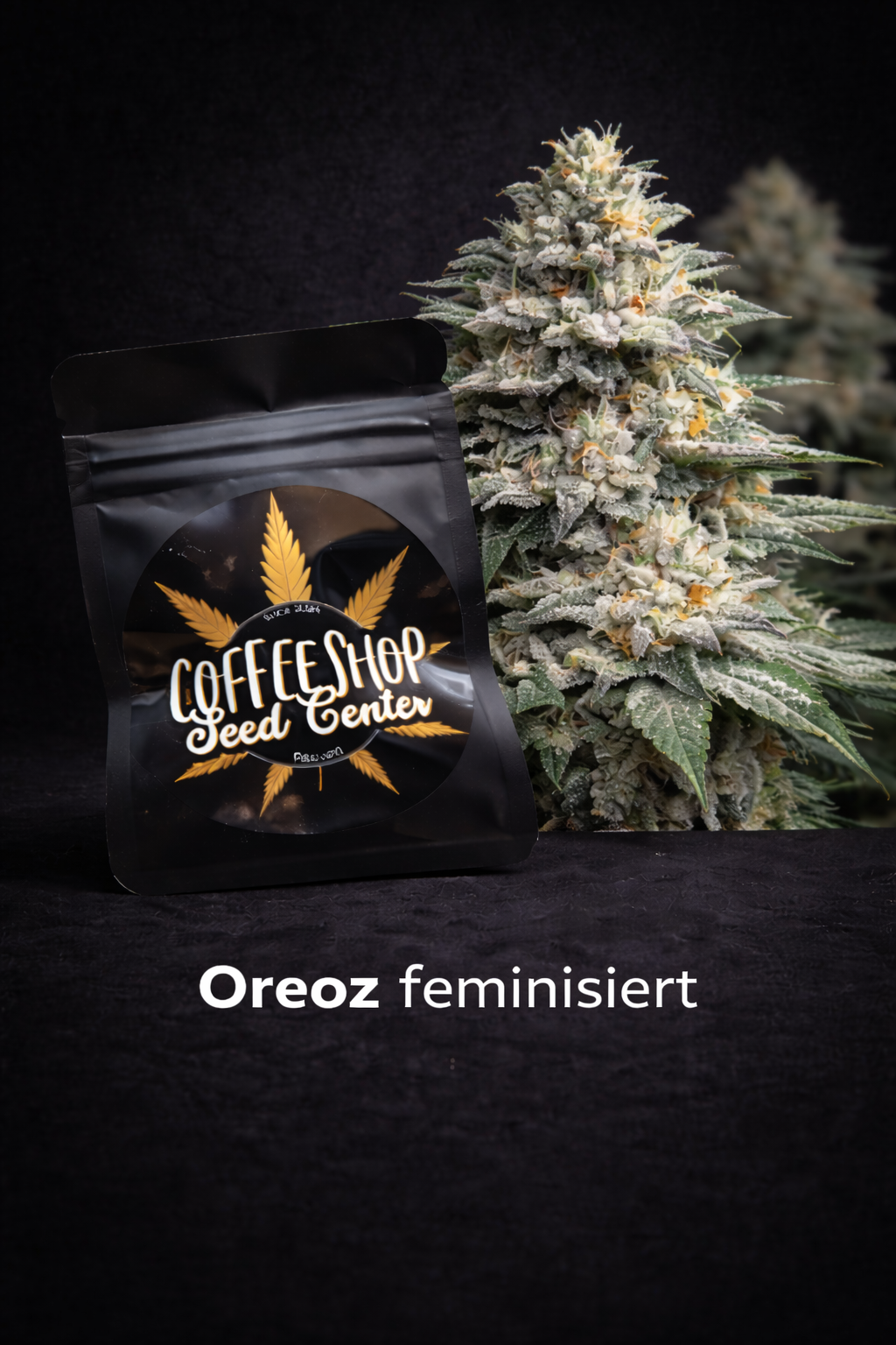 Oreoz feminisiert by Hempcrafted