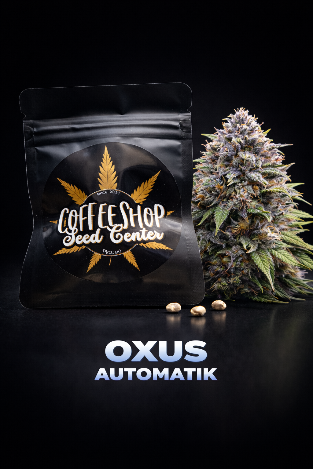 Oxus Automatik by Hempcrafted