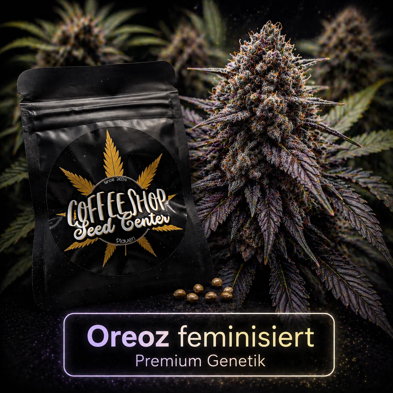 Oreoz feminisiert by Hempcrafted