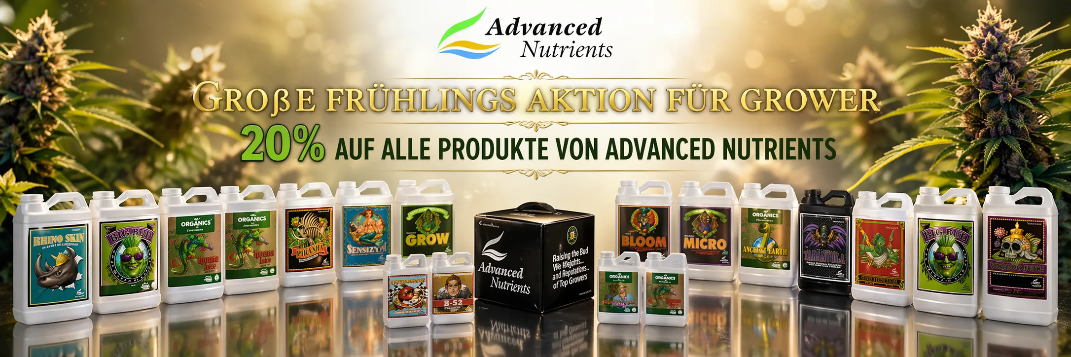 Grow Aktion 2026
