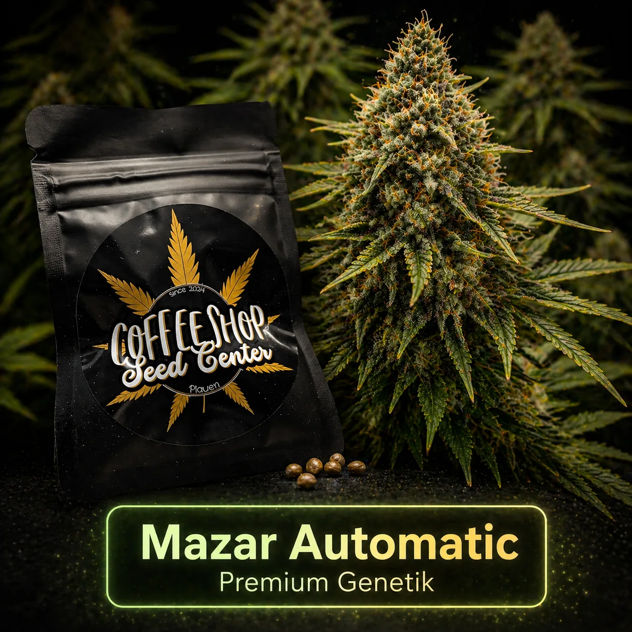 Mazar Automatik by Hempcrafted