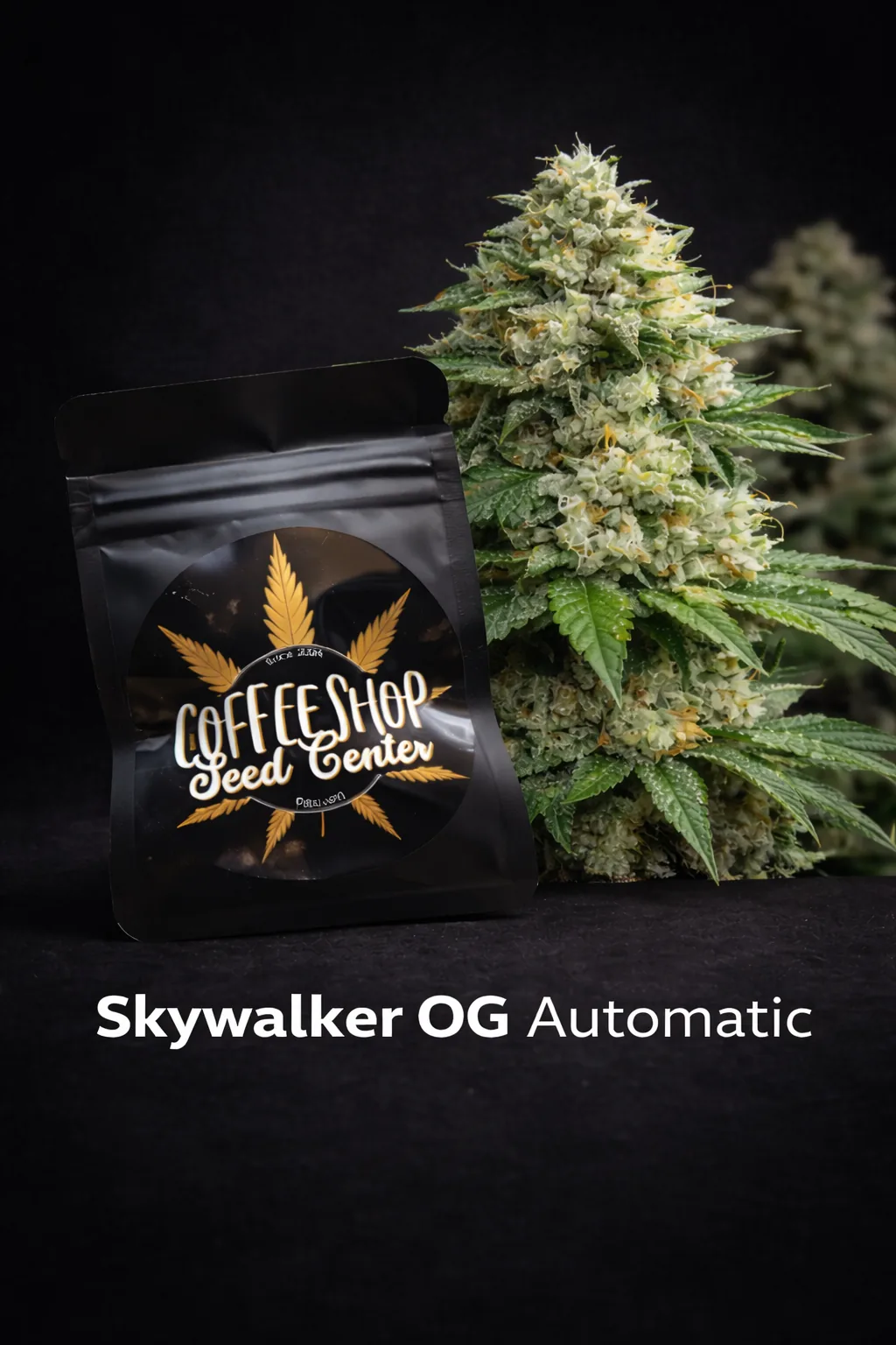 Skywalker OG Automatic by Hempcrafted