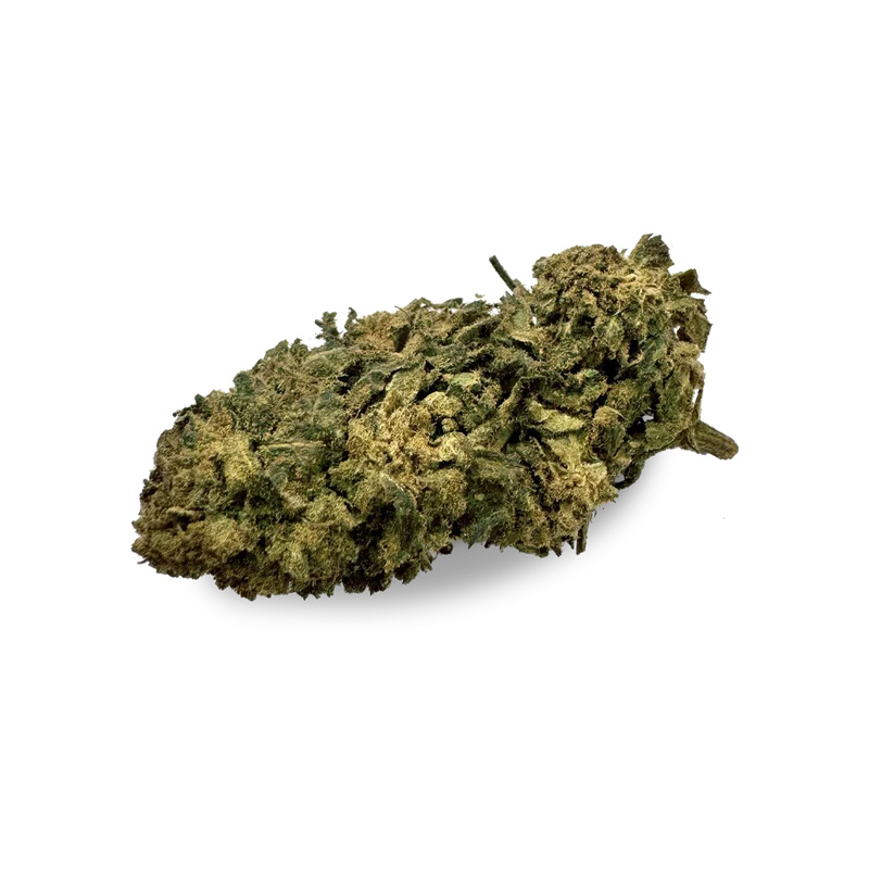 Northern Lights HHZ 40%