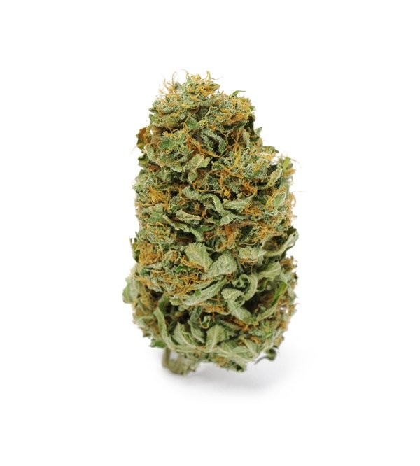 Amnesia Haze 13,5% CBD