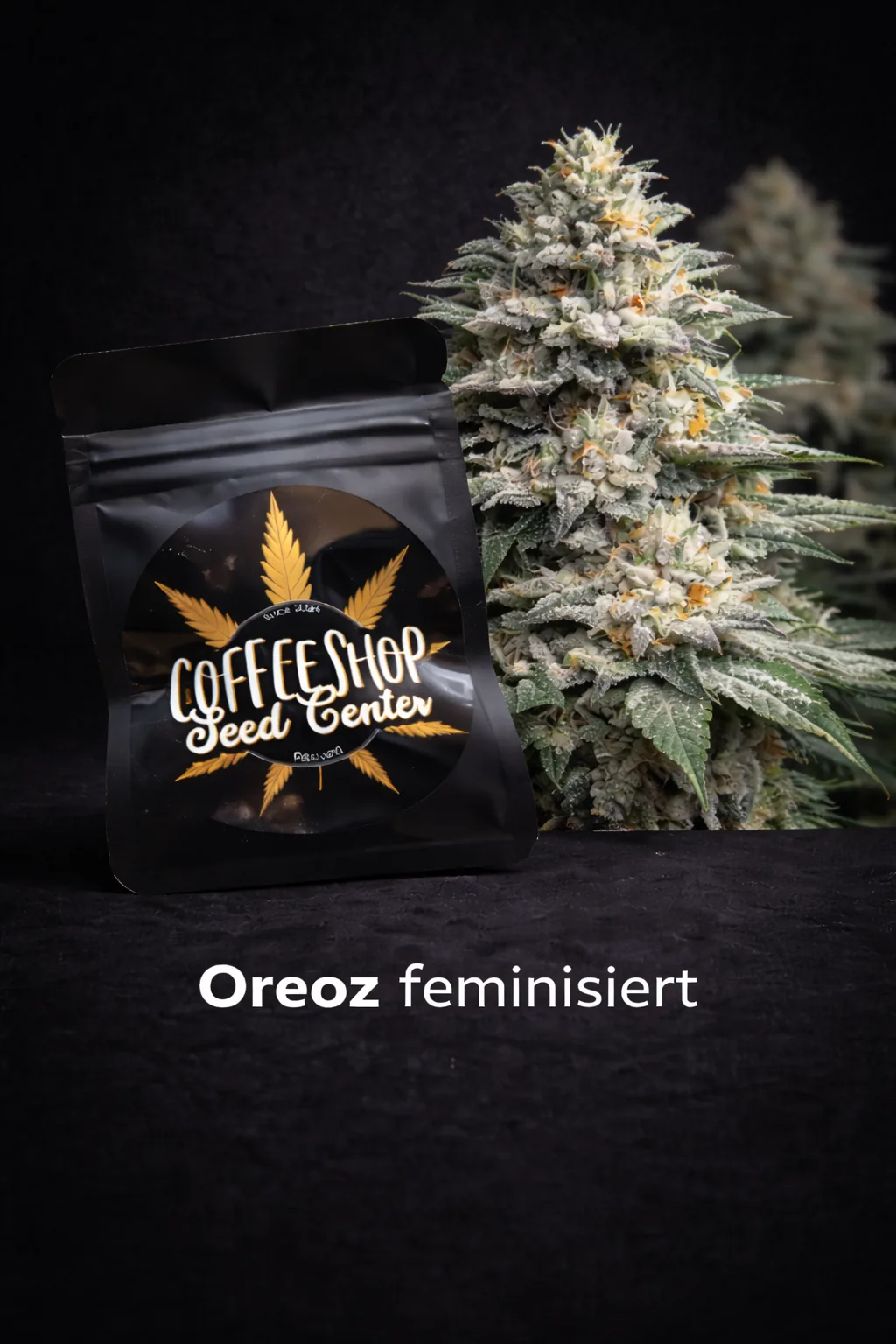 Oreoz feminisiert by Hempcrafted, Ansicht 3