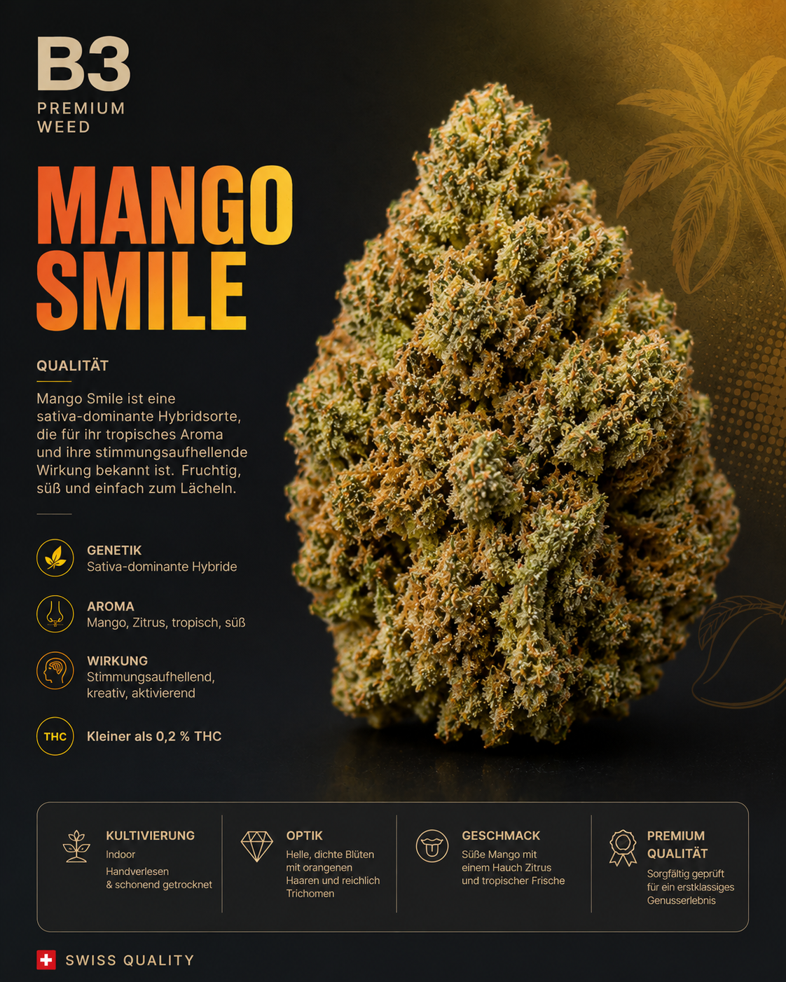 B3 Mango Smile