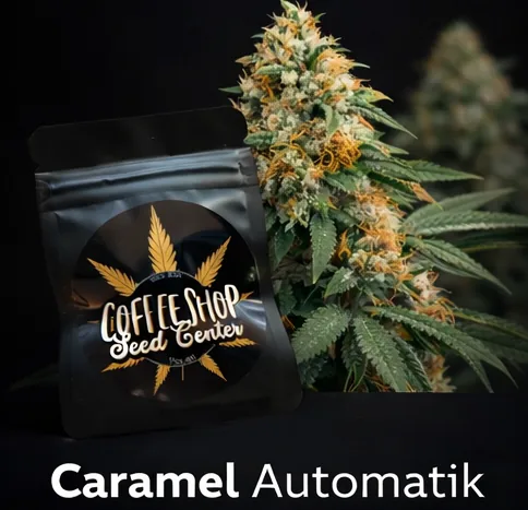 Caramel Automatik by Hempcrafted