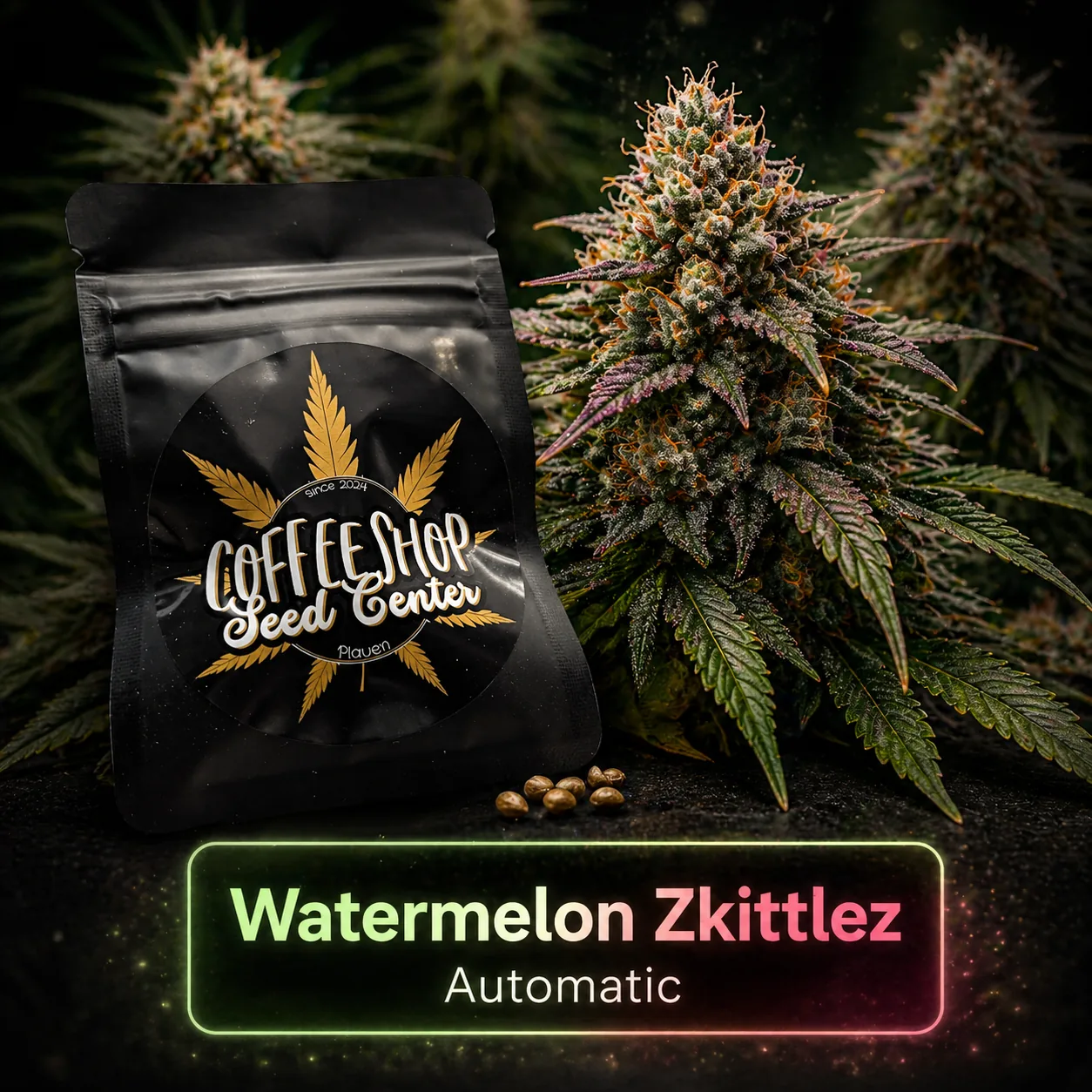 Watermelon Zkittlez Automatic by Hempcrafted