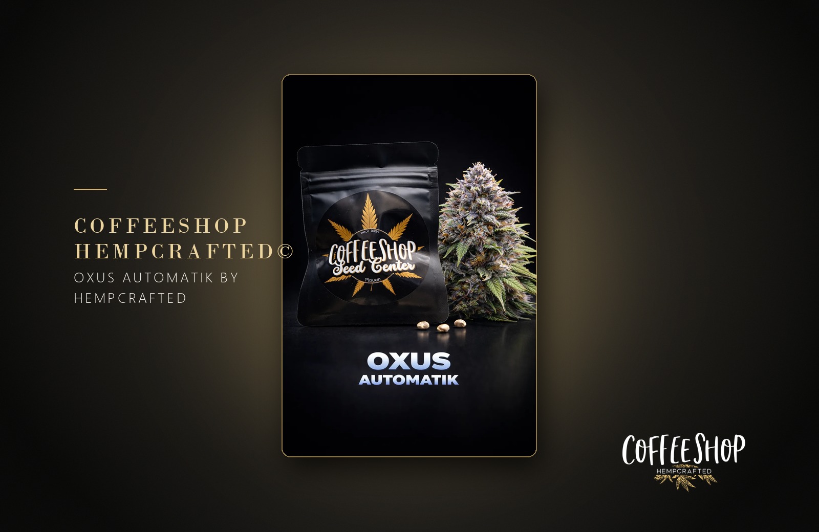 Oxus Automatik by Hempcrafted